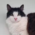Photo of Flynn