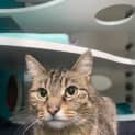 Photo of Oakley