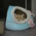 Photo of Sunny