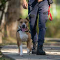 Photo of Nala