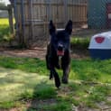 Photo of 🤠 Buddy C04576 🤠