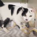 Photo of Razzamatazz