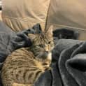 Photo of Smudge