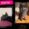 Photo of Azriel