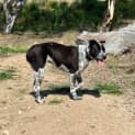 Photo of Holly