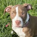 Photo of Betty
