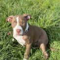 Photo of Betty
