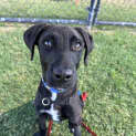 Photo of Xena
