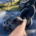 Photo of Eclair