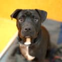 Photo of Hugo