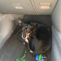 Photo of Vexin