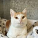 Photo of Alistair