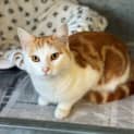 Photo of Alistair