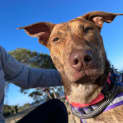 Photo of Cindy