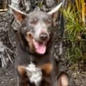 Photo of Ralph