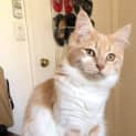 Photo of Nellie