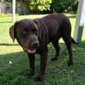 Photo of Coco