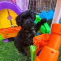 Photo of Spark