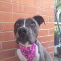Photo of Livia