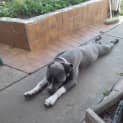 Photo of Livia