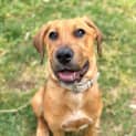 Photo of Darla