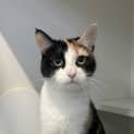 Photo of Bridget