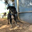 Photo of Duke