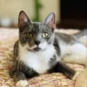 Photo of Isabella