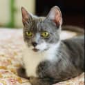 Photo of Isabella