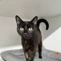 Photo of Thelma