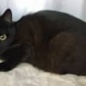 Photo of Thelma