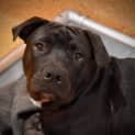 Photo of Hugo