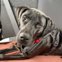Photo of Storm
