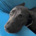 Photo of Storm