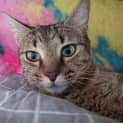 Photo of Lilly