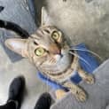 Photo of Willow