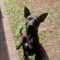 Photo of Sharn