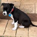 Photo of Missy