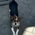 Photo of Holly