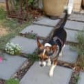 Photo of Holly