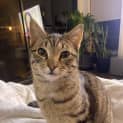 Photo of Matilda
