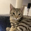Photo of Matilda