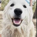 Photo of Giggles