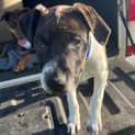 Photo of Roxy