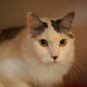 Photo of Wilbur