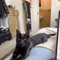 Photo of Mr Midnight
