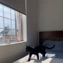 Photo of Mr Midnight