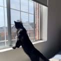 Photo of Mr Midnight