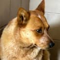 Photo of Charlie