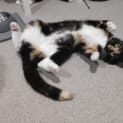 Photo of Zoey